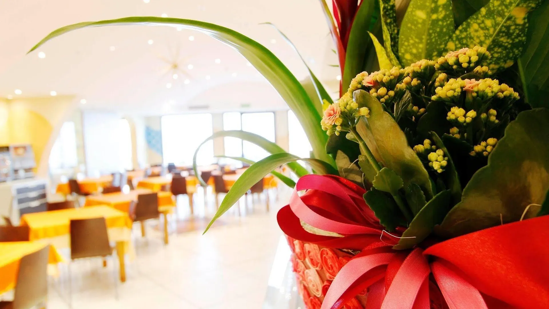 Hotel Stella Maris Cesenatico